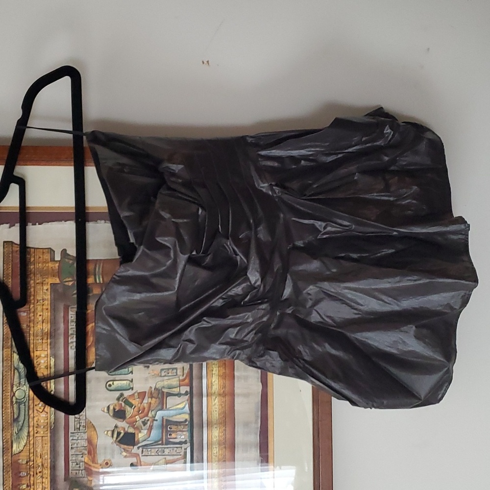 Sz 42 nwot Hache shiny peplum top